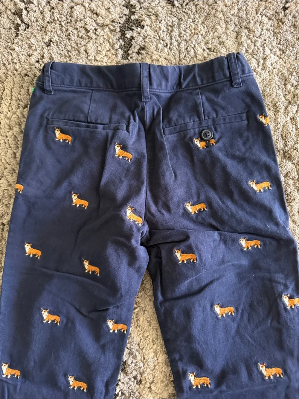 Kids Navy Blue Embroidered Dog Chino Pants